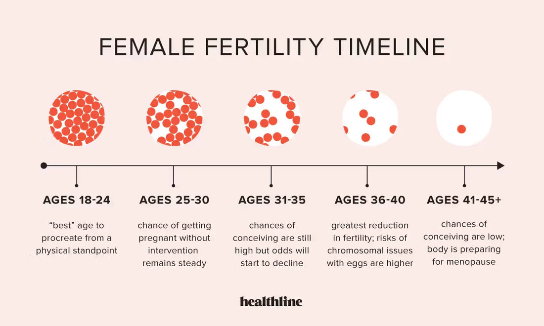 When Is the Best Time to Take a Fertility Test? (Men & Women) | STI Health Check