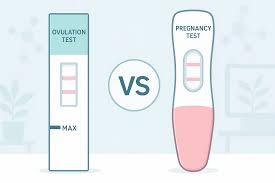SP-10 vs LH vs HCG: Fertility Test Differences & Timing | STI Health Check