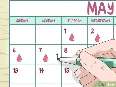 A 30-Day Fertility Plan for Couples: Daily Checklist | STI Health Check